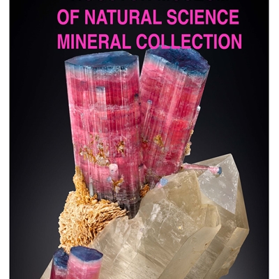 East Coast Gem Mineral, and Fossil Show